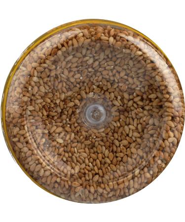 JFC International White Roasted Sesame Seeds - Premium Quality | Buy Online - Buy Online on GoSupps.com