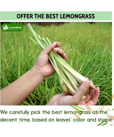Lavendium Premium 55 Lemongrass Tea Bags 100% Natural & Pure Lemongrass leaves Eco-Conscious Tea Bags Lemongrass Herbal Tea. Lemongrass Leaf Tea. No Sugar No Caffeine No Gluten Vegan. - Buy Online on GoSupps.com