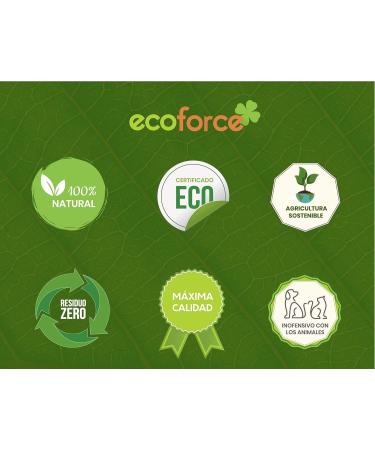 Buy Cultivers Plant Amino Acid Fertilizer 5L - Boost Indoor & Outdoor Plant Growth | Force Amin Eco - Buy Online on GoSupps.com