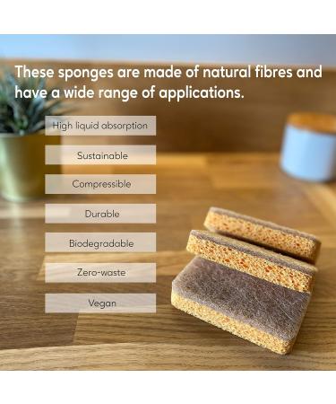 Eplanita Natural Plant Based Scrub Sponges - Non-Scratch Biodegradable Eco Scourers (3 Pack) - Buy Online on GoSupps.com