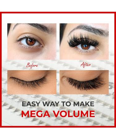 The Lash Supply 450 Fans 14D Volume Promade Fan Mega Box C/D Curl Mix Length 9-18mm 0.03 Thickness Eyelash Extension Fans - Natural & Long-lasting Curl - 14D-0.05-C Mix - Buy Online on GoSupps.com