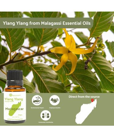 Ylang Ylang Essential Oil - 100% Pure Therapeutic Grade 8oz | Malagassi Direct | Best Essential Oils for Diffusers & Home Use - Buy Online on GoSupps.com