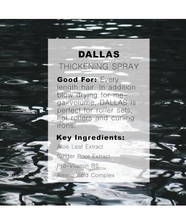 R+Co Dallas Hair Thickening Spray | Volumizing & Texturizing Spray for All Lengths | Adds Volume Body & Shine | Perfect for Blowouts Curling Irons & Roller Sets 8.5 Fl Oz + 1.7 Fl Oz (Pack of2) - Buy Online on GoSupps.com