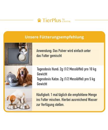 Exvital TierPlus Intestine Active Powder for Dogs & Cats | Probiotics & Prebiotics for Healthy Gut After Diarrhea Worm Treatment & Antibiotics - Buy Online on GoSupps.com