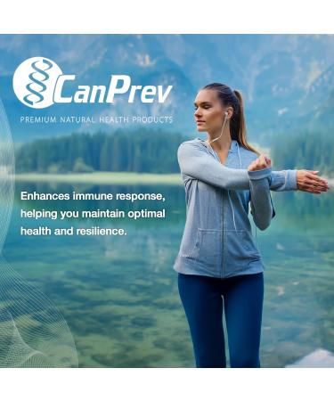 CanPrev BioActive B Vitamin 90 V-Caps 30-Day Supply - B Vitamin Blend with B1 B2 B3 B5 B6 B12 Folate Biotin Choline & Inositol - Perfect for Men & Women - Support Energy & Metabolic Functions 90 count (Pack of 1) - Buy Online on GoSupps.com