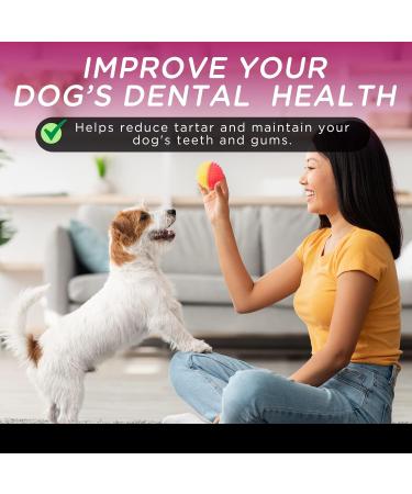 Only One Treats Bully Sticks 6 Jumbo Beef Dental Sticks for Dogs Dental Health Natural and Fully Digestible Dog Chew Training Treats for Small to Medium Pets and Gentle Chewers (15x34g) 15 count (Pack of 1) 6" (Pack of 15) - Buy Online on GoSupps.com