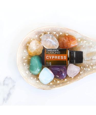 Nature's Fusions French Cypress 100% Pure and Natural Essential Oils Undiluted Therapeutic Grade for Aromatherapy and Topical Use .5 Fl Oz (Pack of 1) (15 mL) - Buy Online on GoSupps.com