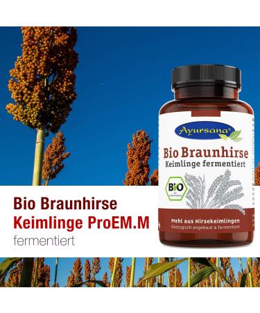 Buy Ayursana Organic Brown Millet Sprouts - Fermented Raw Food ProEM.M 300g | International Shipping Available - Buy Online on GoSupps.com