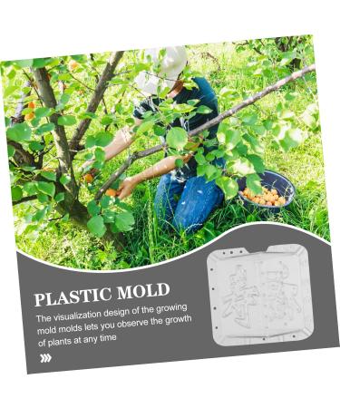 SUPVOX 2pcs Square Apple Fruit Shaping Shape for Vegetable Stereotypes Mould Cover - Buy Online on GoSupps.com