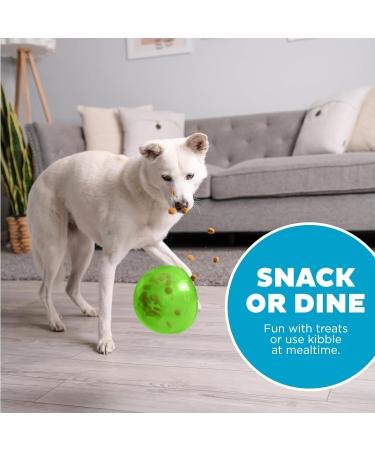 Planet Dog Orbee-Tuff Snoop Interactive Treat Dispensing Dog Toy - Large Green - Eco-Friendly Engaging Play for All Breeds - Buy Online on GoSupps.com