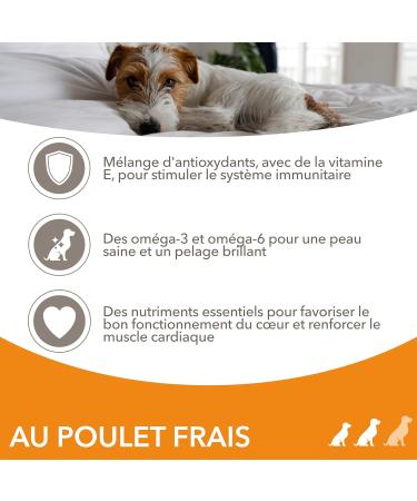 Iams Vitality - Dry Dog Food for Adult Dogs Small and Medium Breeds - Promotes Health and Vitality - Low in Fat - With Fresh Chicken - Free of: GMOs Colouring Artificial Flavouring Wheat - 3 kg - Buy Online on GoSupps.com