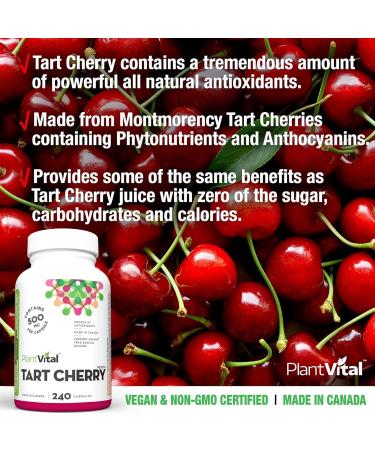 PlantVital Tart Cherry Capsules -10 000mg Per Day -10:1 Cherry Extract - Montmorency Tart Cherry Supplement for Antioxidants - Made in Canada - 2 Months Supply -120 Capsules (240 Count (Pack of 1))  - Buy Online on GoSupps.com