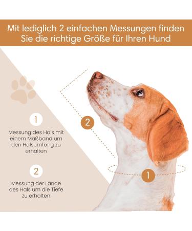Nobleguard Halskrause Dog - Adjustable XL Protective Collar for Lick Protection | Robust Breathable & Easy to Clean - Supports Recovery for All Breeds - Buy Online on GoSupps.com