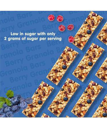 Healthy Crunch Granola Bars Berry Flavor - 6 Units x 120 Grams - Sweet and Salty Snack Bars for Adults and Kids - Energy Bars in Bulk - Perfect Food Snacks for On-the-Go - Healthy Snack Food Option - Buy Online on GoSupps.com