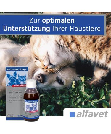 Alfavet Reconvales Energy for Cats - High-Caloric Formula for Convalescence & Hepatic Lipidosis - 180ml Glass Bottle - International Shipping Available - Buy Online on GoSupps.com