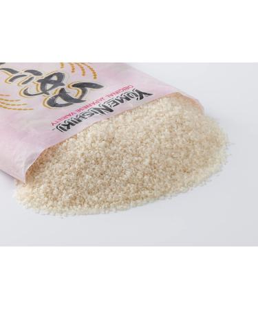 YUMENISHIKI Short Grain Rice 5 kg - Premium Quality Japanese Rice - Buy Online on GoSupps.com