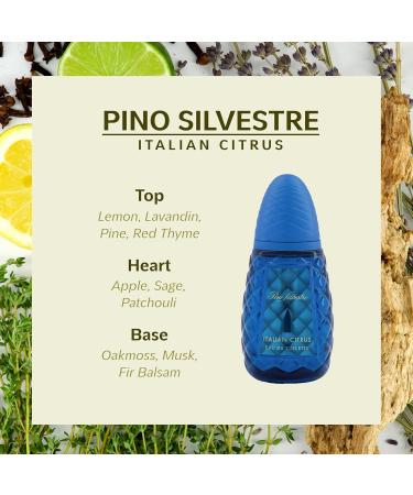 Pino Silvestre Italian Citrus Perfume for Men - Woody Aromatic Scent - Blended with Lemon Pine Apple Patchouli and Musk - for Calm Collective Gentlemen - 4.2 oz EDT Spray - Buy Online on GoSupps.com