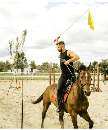 Horse Training Flag with Extendable Stainless Flagpole 5 Color Equestrian Training Flags Pole Horse Training Equipment with Telescoping Handheld Flagpole for Horse Lunging Training - Buy Online on GoSupps.com