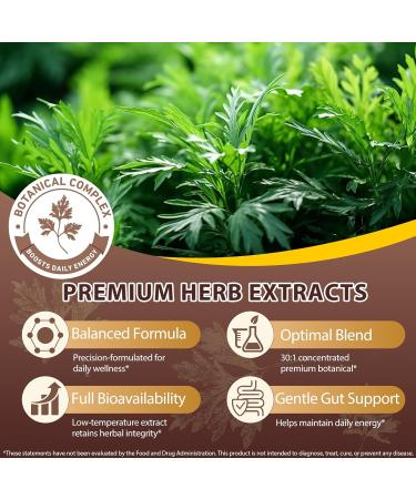 RSGRT Wormwood Black Walnut Clove Cleanse for Humans 6600mg Serving 18-in-1 Premium Herbal Blend Capsules Supports Cleanse & Digestive Health 240 Softgels - Buy Online on GoSupps.com