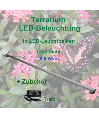 Buy AQUARIUM PL DERHAUSEN Rainforest Terra - 30cm LED Lighting for Tropical Plants | International Shipping - Buy Online on GoSupps.com
