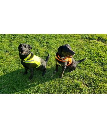 Reflective Hi-Visibility SafetyPUP XD Lite Dog Vest - Large Yellow - Buy Online on GoSupps.com