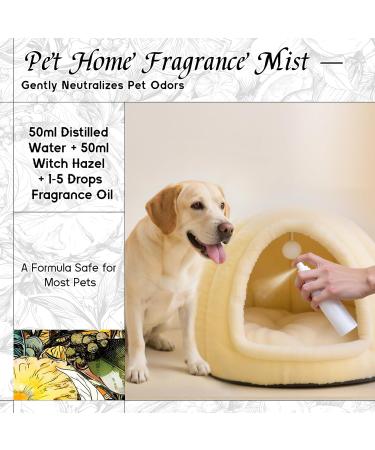 HIQILI 100ML Spearmint Essential Oil & 150ML Tidal Sonata Fragrance Oil for DIY Diffuser - Buy Online on GoSupps.com