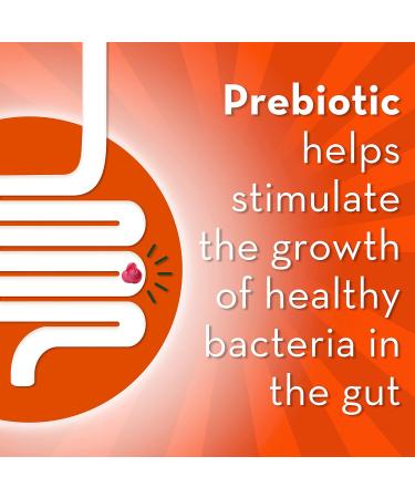 Align Women's Health Prebiotic + Probiotic Gummies Helps Prevent Urinary Tract Infections Cranberry Flavoured 50 Gummies - Buy Online on GoSupps.com