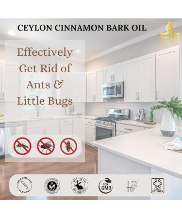PRESERVE Ceylon Cinnamon Bark Essential Oil - 100% Pure Natural Therapeutic Grade Oil for Aromatherapy Diffuser & Food | 10ml - Buy Online on GoSupps.com