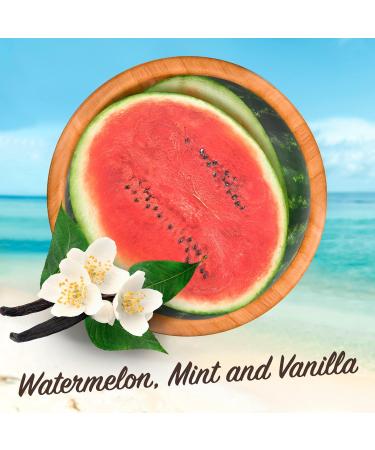 Malibu Sun SPF 30 Lip Balm Sunscreen 3-Pack - Watermelon Mint & Vanilla 5g - Buy Online on GoSupps.com