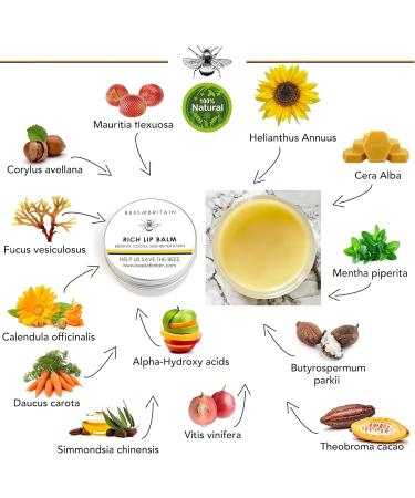 BEES of BRITAIN - 100% Natural Lip Balm - Shea Cocoa Butter Beeswax Mint. Repairs Soothes Hydrates. We Donate 5% of our Profit to Save Bees + Pollinators. 30ml - Buy Online on GoSupps.com