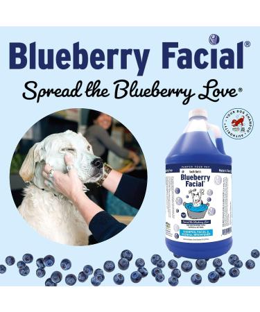 ShowSeason Blueberry Facial 1 Gallon - Luxurious Pet Grooming Treatment - Buy Online on GoSupps.com
