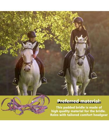 Small Horse Halter | Tied Halter Adjustable Chin & Throat Snap Horse Safety Halter Colorful Padded Nylon Size Horse Care for Horse Grooming Training Pochy Purple - Buy Online on GoSupps.com
