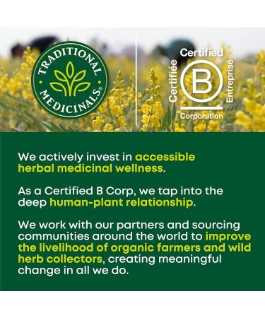 Traditional Medicinals - Organic Fennel Herbal Herbal Tea (Pack of 6) - Delicous Tea After a Meal - 96 Tea Bags Total - Buy Online on GoSupps.com