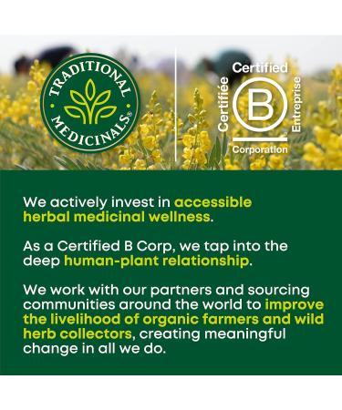 Traditional Medicinals - Organic Green Tea Lemongrass (Pack of 6) - Fair Trade Ingredients - Energizing & Uplifting - 96 Tea Bags Total Green Tea with Lemongrass 16 Count (Pack of 6) - Buy Online on GoSupps.com