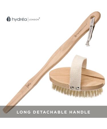 Hydrea London Body Brush Back Scrubber - Long Handle Shower Brush with Natural Bristles - Exfoliating Cellulite Brush - FSC Certified Beechwood - 2 Piece Set - Buy Online on GoSupps.com