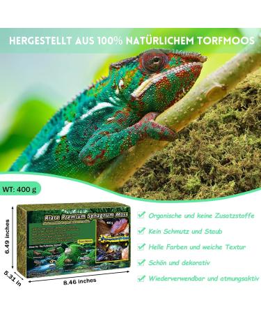Riare Natural Sphagnum Moss for Reptiles - 400g Terrarium Moss Bricks | Increase Humidity for Healthy Reptile Habitat - Buy Online on GoSupps.com