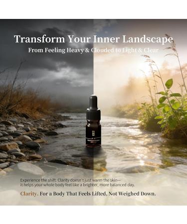 Clarity Warming Relief Essential Oil Blend - Ginger Angelica Alisma & Nutmeg for Fluid Balance Circulation & Deep Comfort - 5ml Natural Skin-Safe Aromatherapy (0.17 Fl Oz (Pack of 1)) - Buy Online on GoSupps.com