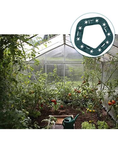 Rurunklee Bamboo Pipe Holder - 10 Hole Garden Climbing Plant Growth Aids for Cucumbers Tomatoes & Peas - Durable Connecting Caps for Your Garden - Buy Online on GoSupps.com