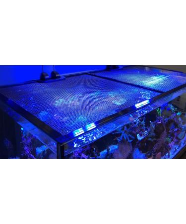 D-D Anti-Jump Protection for Aquarium 180x90 cm (Lot de 1) - Buy Online on GoSupps.com