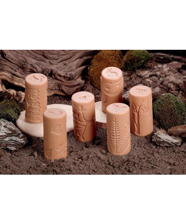 Yellow Door Let's Roll Forest Friends Rollers - Set of 6 - Buy Online on GoSupps.com