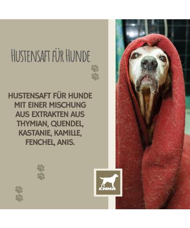 Hustens Juice for Dogs | Thyme & Anise Cough Remedy | Herbal Expectorant for Bronchial Relief | 100ml Airway Calming Solution - Buy Online on GoSupps.com