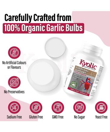 Kyolic - Odourless Aged Garlic Extract Everyday Support Extra Strength One-A-Day 1000mg 60 Veg Tablets - Kyolic Garlic Supplements Garlic Pills - Herbal Supplement for Wellness Support - Buy Online on GoSupps.com