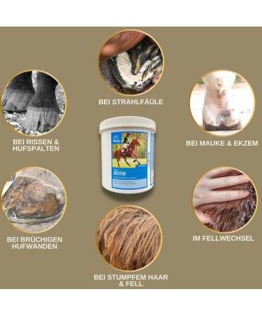 Biotin + Zinc Horse 1Kg - Mineral feed in case of hoof problems biotin & Zinc I Hoof treatment with methionine Zinc b - Buy Online on GoSupps.com