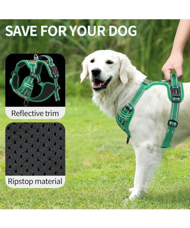 Premium Heele Dog Crockery & Adjustable Reflective Harness for Medium Dogs - Comfortable Padded Design in Flower Grass Green - Buy Online on GoSupps.com