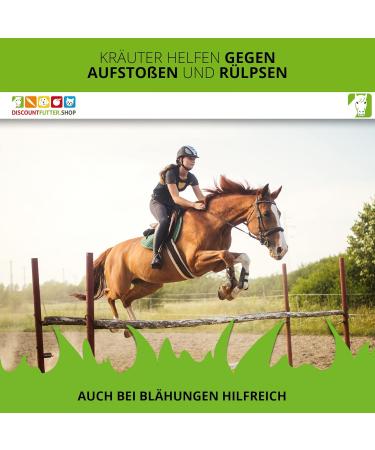 Estella Bronchial Juice for Horses 1L | Herbal Extract with Fennel Elderberry & Linden Blossom | Natural Cough Relief for Airways Lungs & Breathing Problems - Buy Online on GoSupps.com