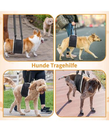 Premium Dog Harness for Hedge Aid | Comfortable & Durable Dog Gear for International Shipping - Buy Online on GoSupps.com