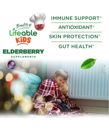 Lifeable Sugar Free Elderberry Gummies for Kids with Vitamin C and Zinc | Kids Immune Support Supplement | Great Tasting Elderberry Gummies | Vegan Non GMO Kosher Gluten Free | 60 Gummies - Buy Online on GoSupps.com