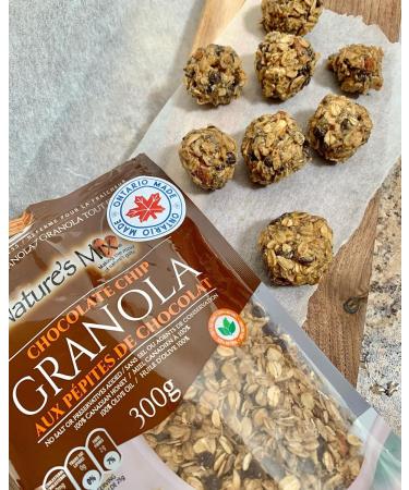 Nature's Mix Chocolate Chip Granola with Dairy Free & Soy Free Chocolate - Canadian Locally Made - Vegetarian and Kosher Certified Chocolate Chip Granola 300 Grams Brown Black Brown 300 g (Pack of 1) 312 - Buy Online on GoSupps.com