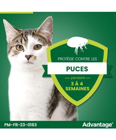 Advantage Cat & Rabbit over 4 kg Cat flea pipettes for prevention of infestations Flea treatment with 3 to 4 weeks protection 6 x 0.8 ml - Buy Online on GoSupps.com