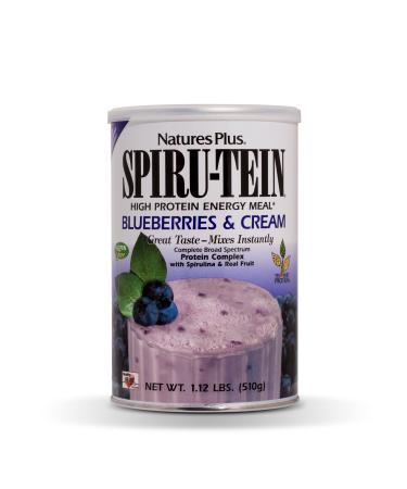 NaturesPlus SPIRU-TEIN Shake - Blueberries & Cream - 1.12 lbs, Spirulina Protein Powder - Plant Based Meal Replacement, Vitamins & Minerals For Energy - Vegetarian, Gluten-Free - 15 Servings